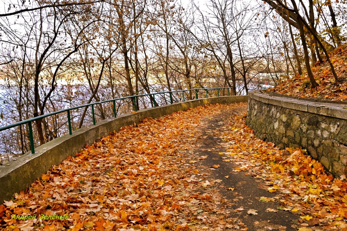 Осень в парке... - Андрей Зелёный