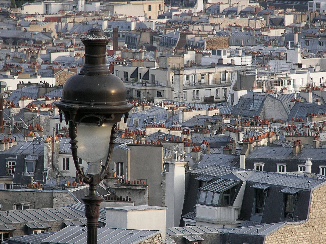 Над крышами Парижа - Anna Lepere