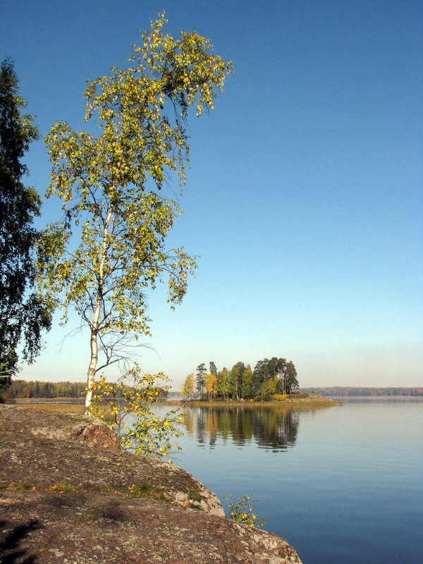 Золотая осень в Монрепо - Николай 