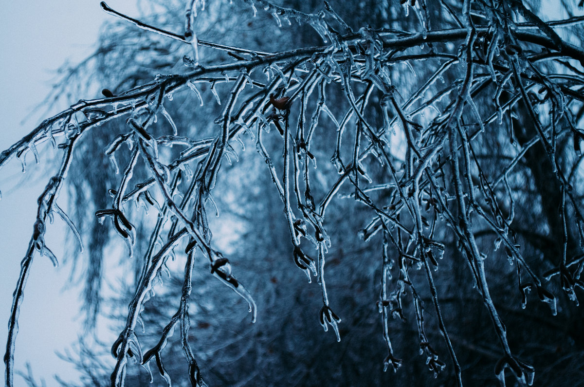 winter - Сергей Каверин