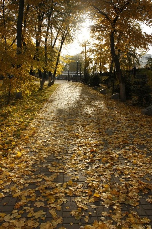 Осень в Первомайском парке - Татьяна_Ш 