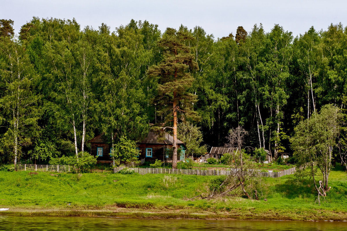Дом в лесу на берегу Волги - Ольга Маркова