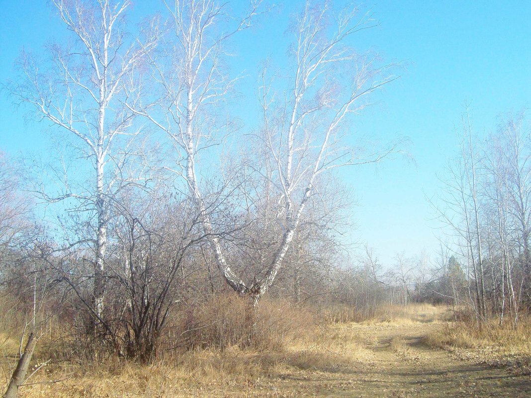 Поздняя осень на Иркуте - alemigun 