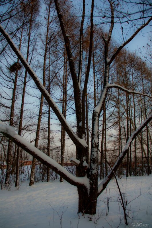 ... - Алексей (АСкет) Степанов