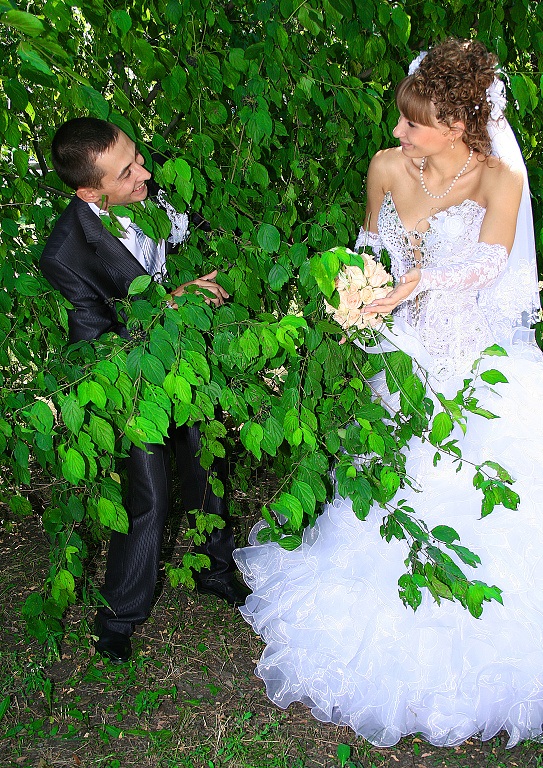 Свадьба - Виталий Апухтин