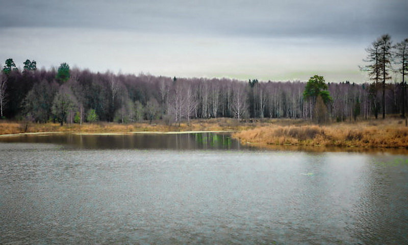 озеро Ельдигино - Алла Мещерякова