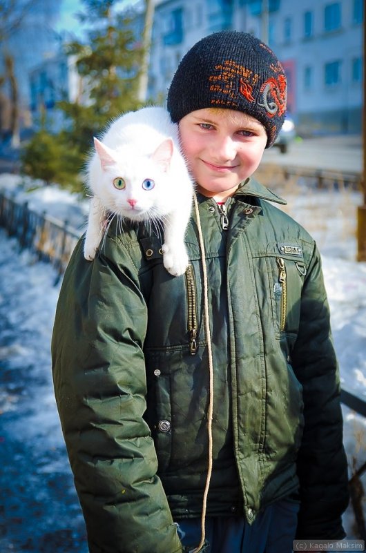Сторожевой кот - Максим Кагало