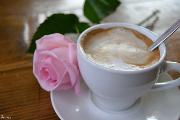 роза з кавою - Діана Пашко