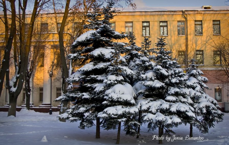 Зима в Гомеле - Евгений Лимонтов