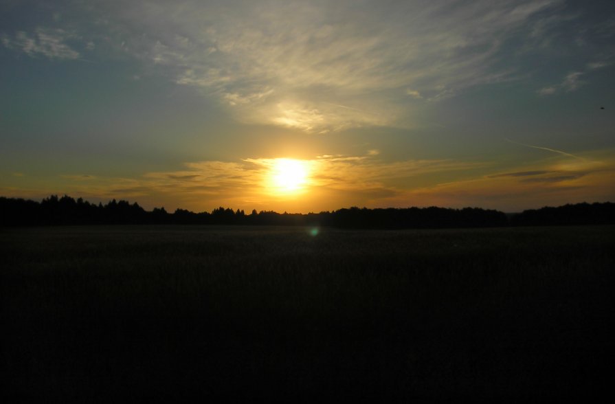 Рассвет на пшеничном поле - Таня Вереск