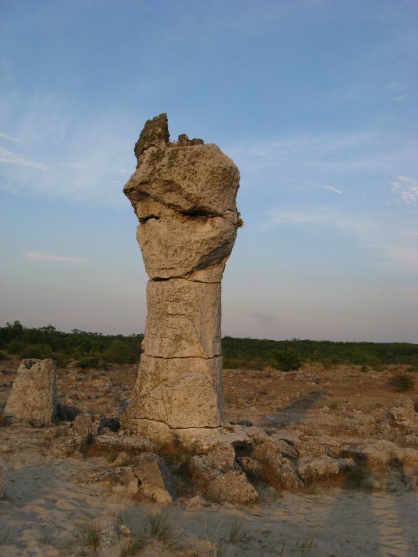 В каменном лесу - Ольга Рыбакова