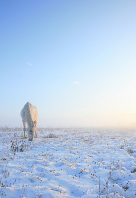 . - Алевтина Ольховских