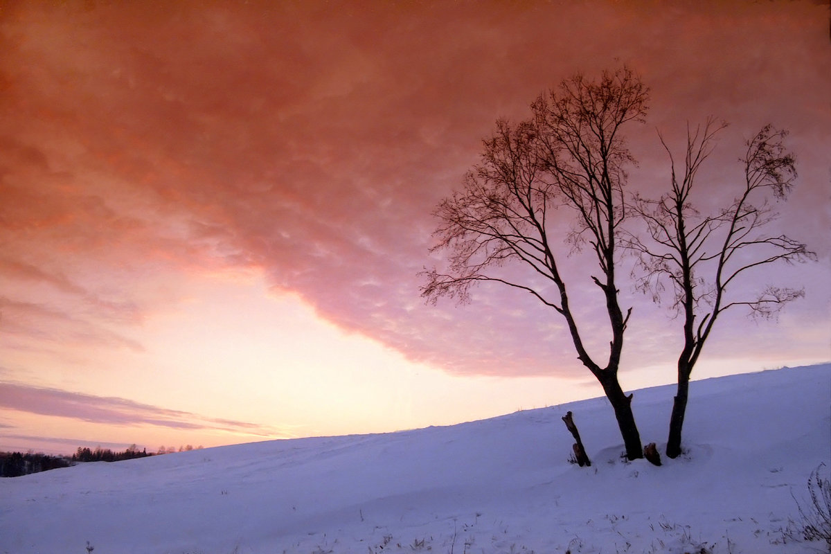 Закат в снегах - Валерий Талашов