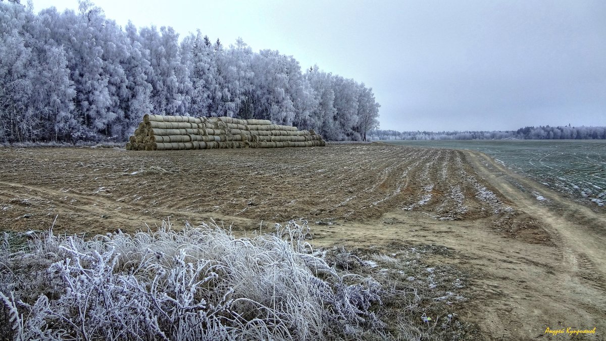 Осенний иней - Андрей Куприянов