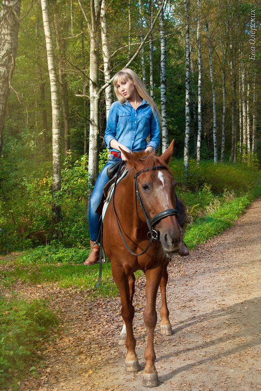 Моя лошадка - Ева Олерских