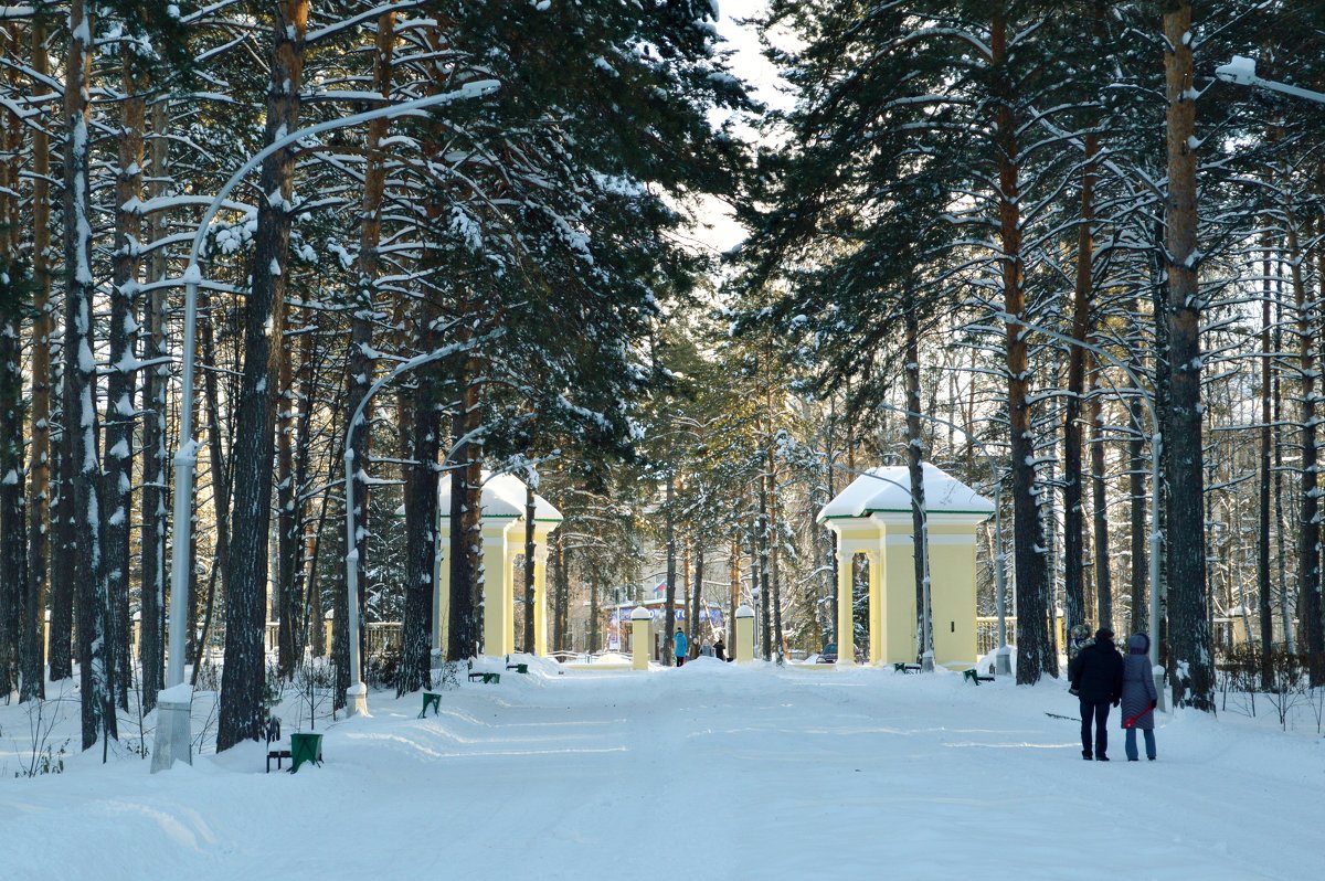 в городском парке - Евгения Семененко 