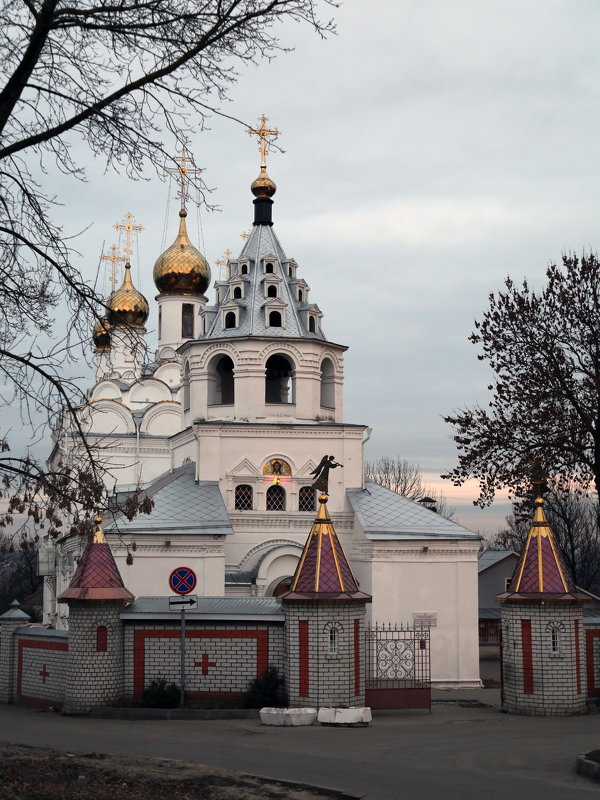 Введенский храм - Сергей *