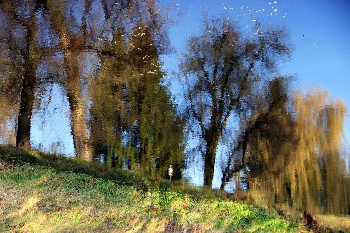 отражение в реке - Алеся Старовойт