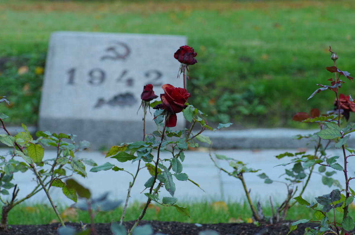 Братская могила на Пискарёвском мемориале - Yuni Hawk