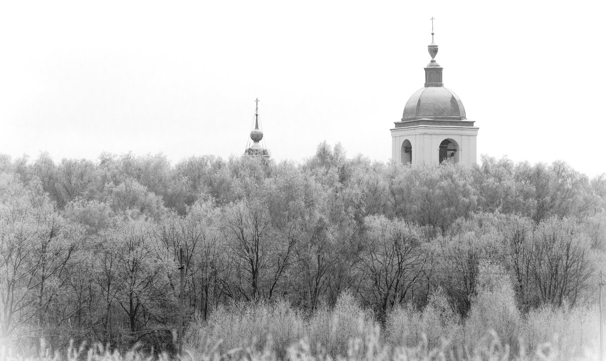 белесая зима - Василий Либко