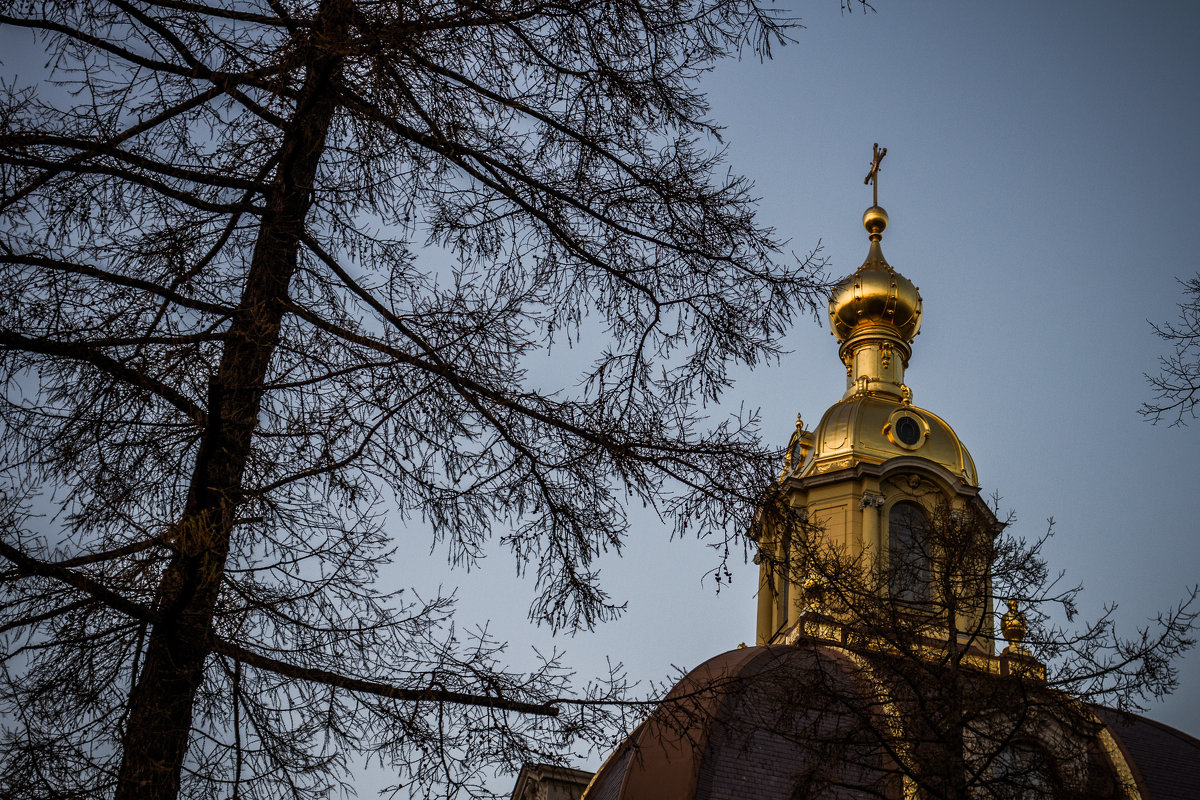 Петропавловская крепость - Андрей Илларионов