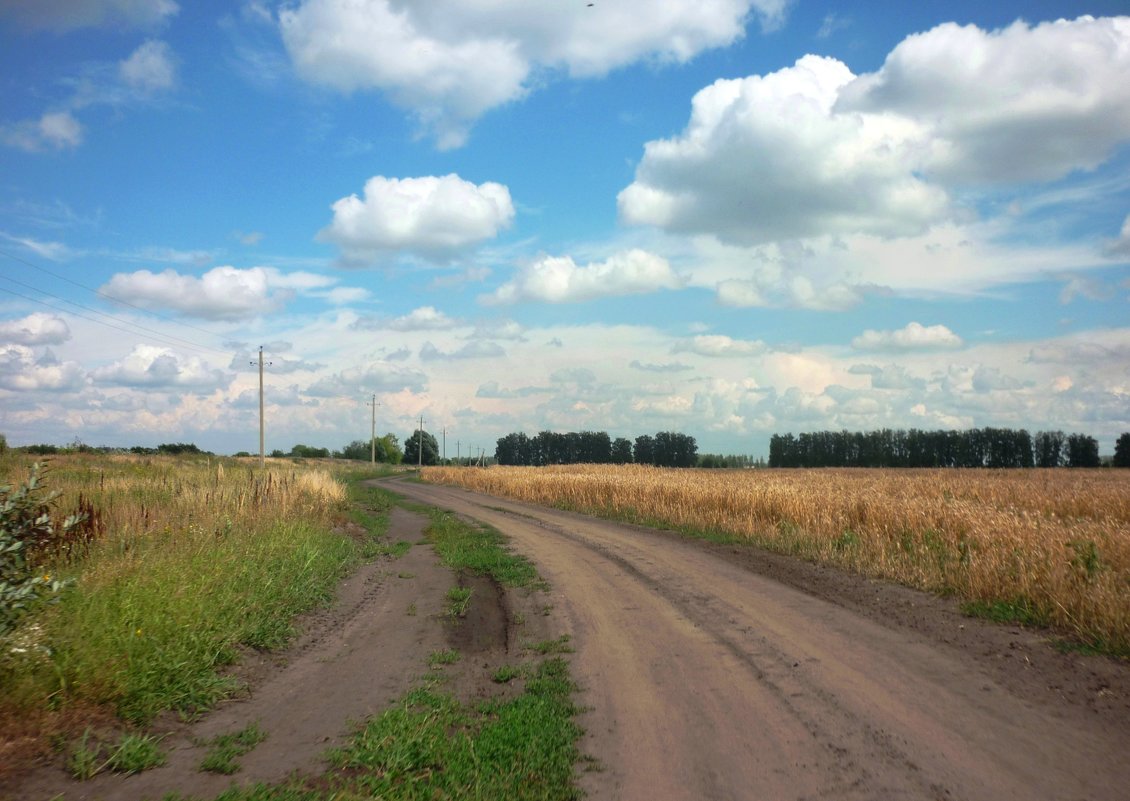 По дороге с облаками... - Любовь *