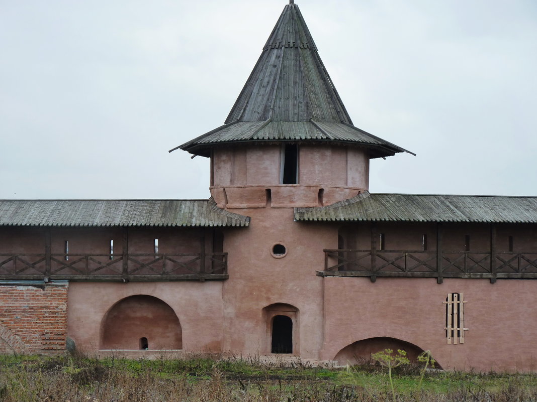 Башни  Спасо-Евфимиева  монастыря... - Galina Leskova