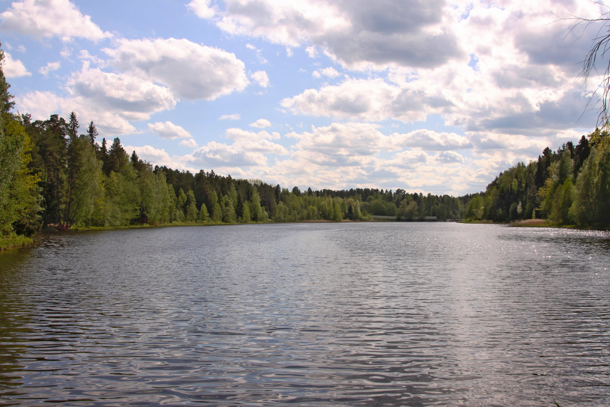 лесное озеро - Наталья 