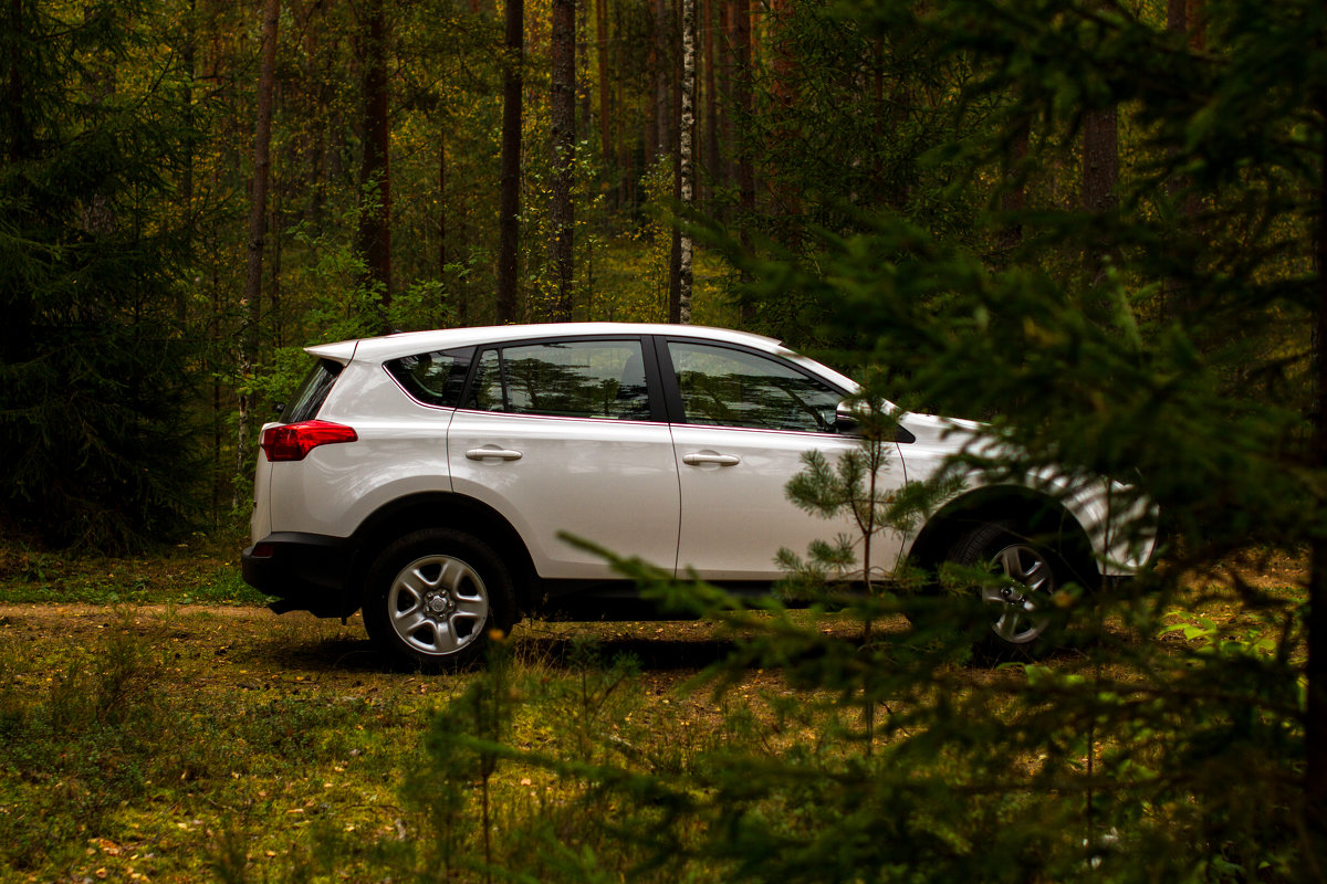 Rav4 в лесу - Александр Фролов