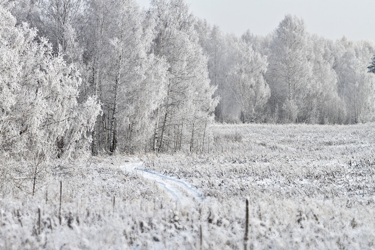 Марина Махова - Siberian winter - Фотоконкурс Epson