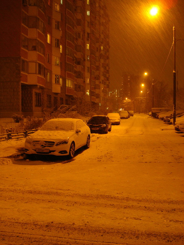 В Москве - снег (Dsc09455) - Андрей Лукьянов