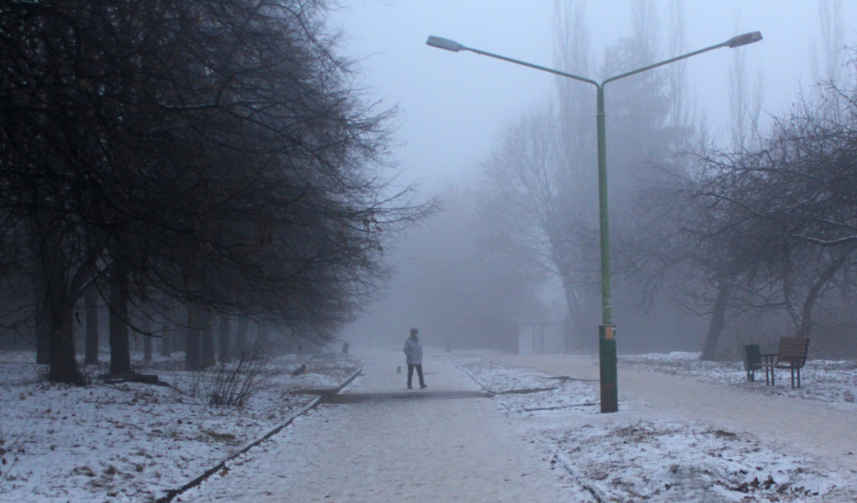 туман - Илья 