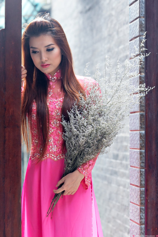 Вьетнамская красавица 2 - Андрей Малинин