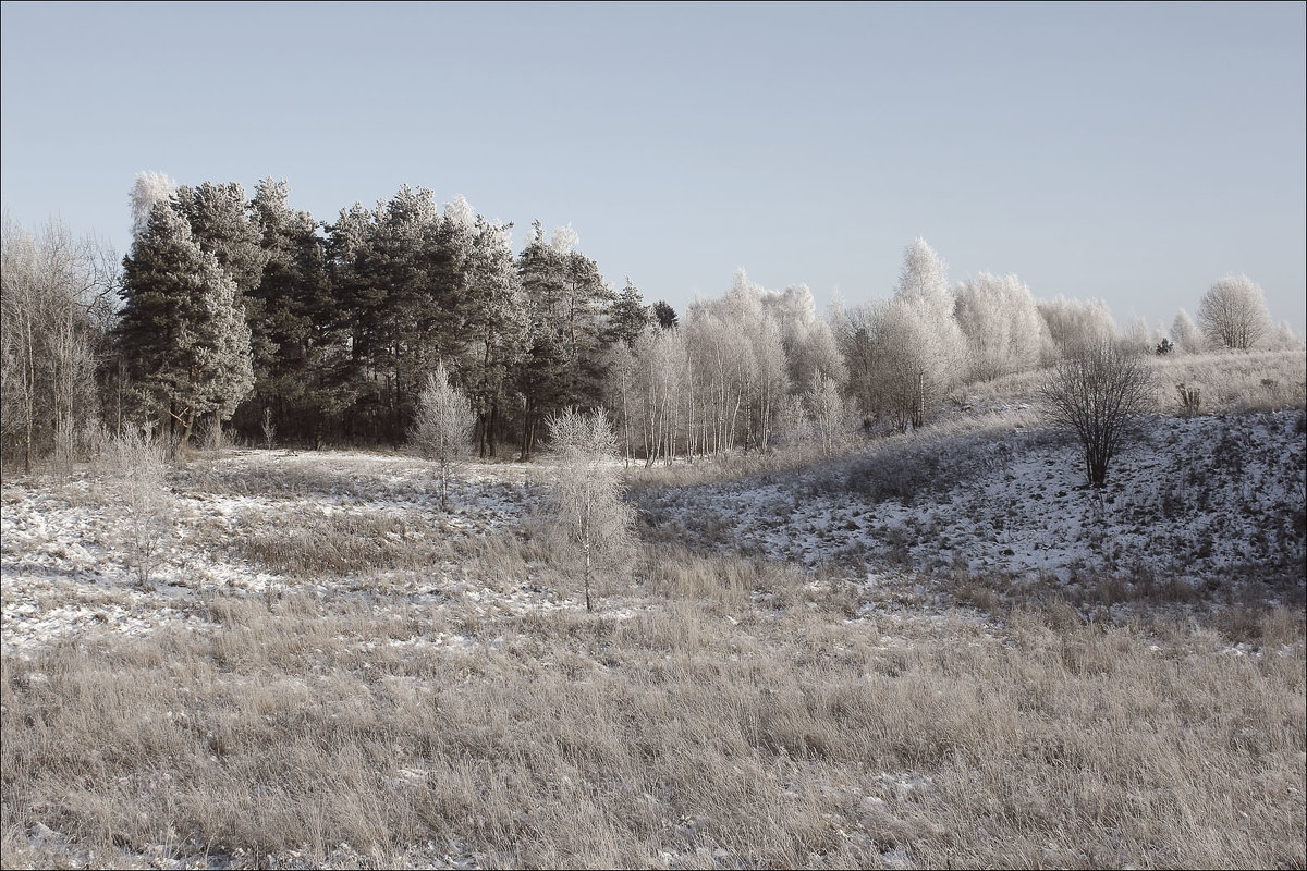 Зима на куропатошном поле - Виктор (victor-afinsky)