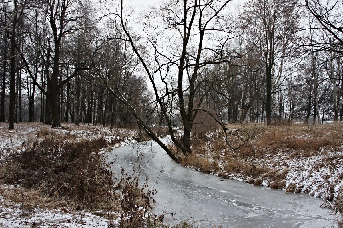 Стрельна. Орловский парк - Елена Павлова (Смолова)