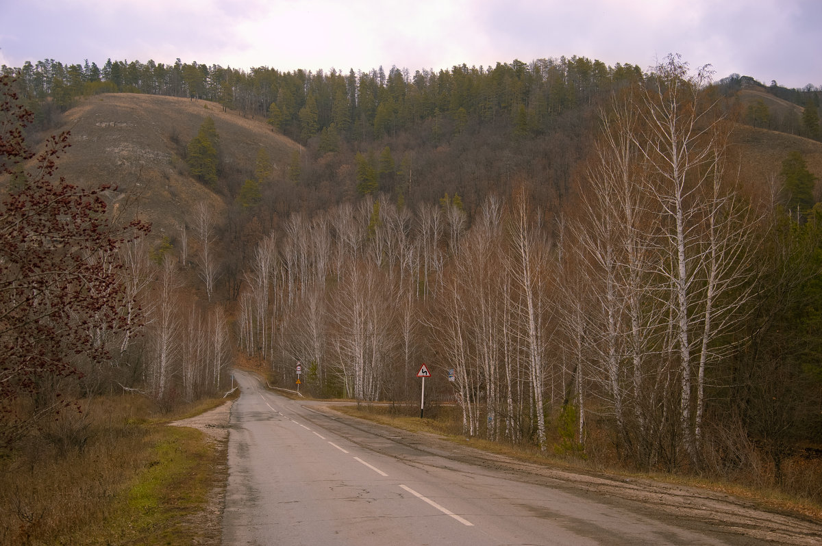 в самарской луке - влад Кубов