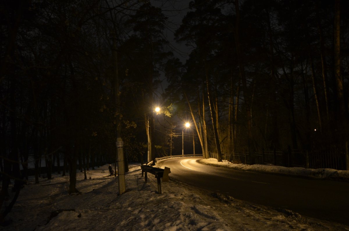 Ночная дорога. - Oleg4618 Шутченко