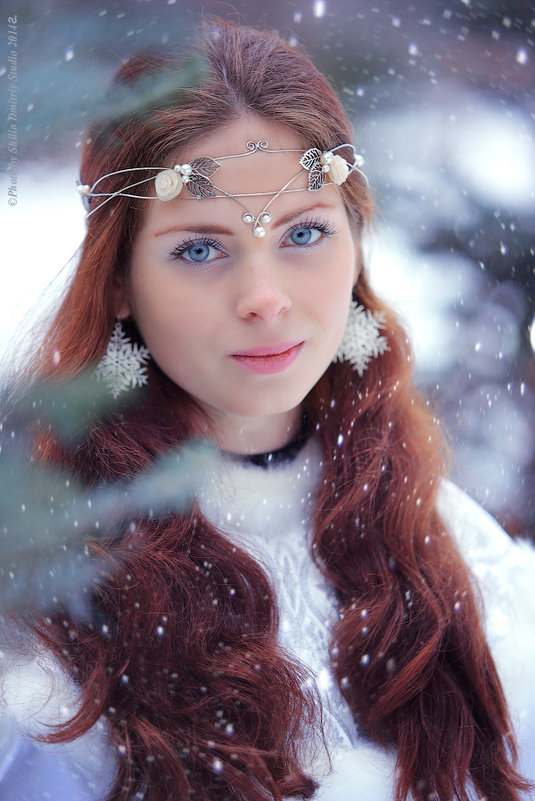Зимний портрет - Дмитрий Шилин