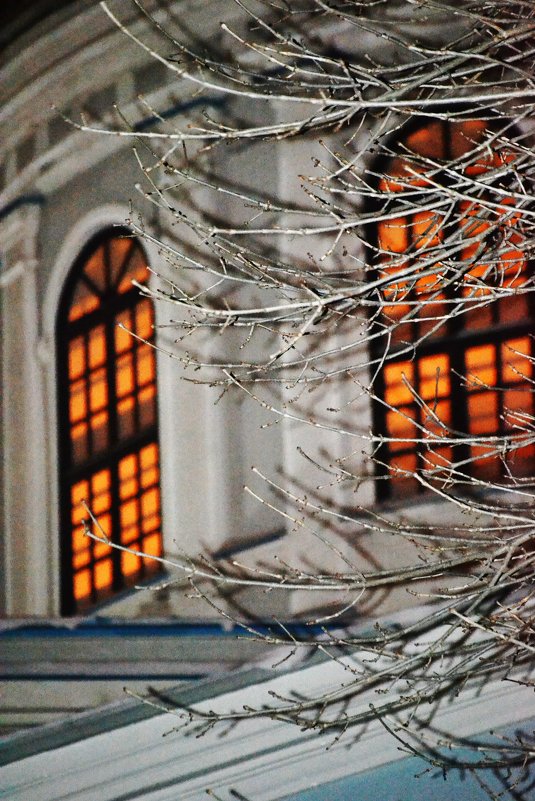 Ночной храм через серебряные ветви - selenoglaska.700@yandex.ru 