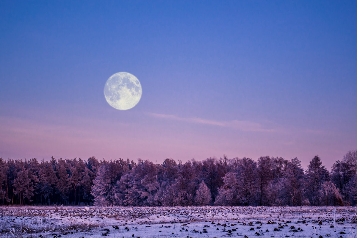 moon - Саша Михайленко