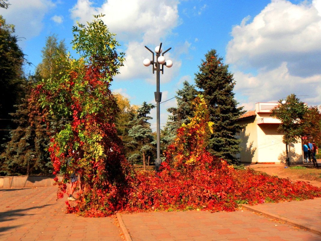 Осень в парке - Oleg Ustinov
