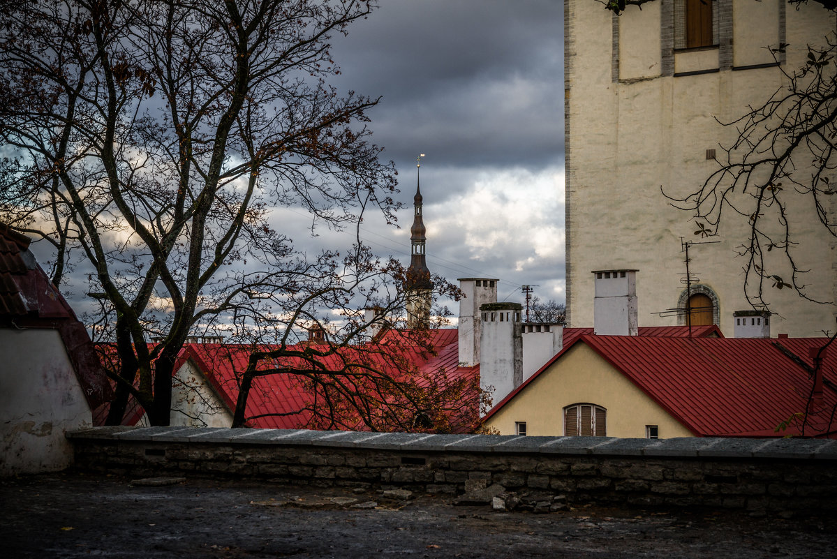 Старый Таллин - Андрей Илларионов