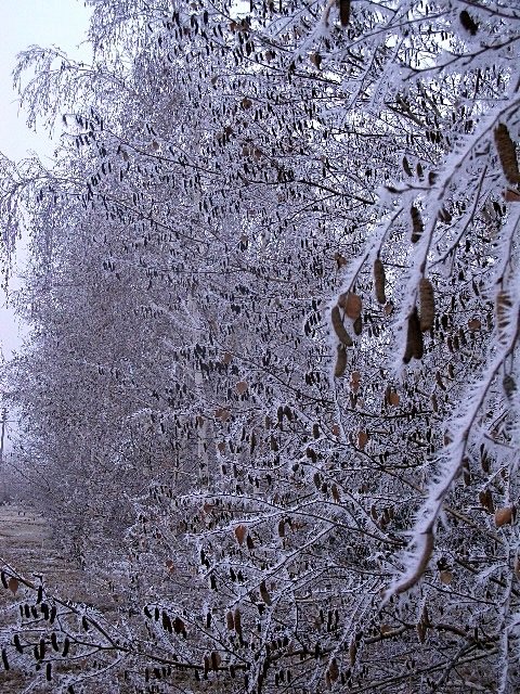 ИНЕЙ - МИХАИЛ КАТАРЖИН