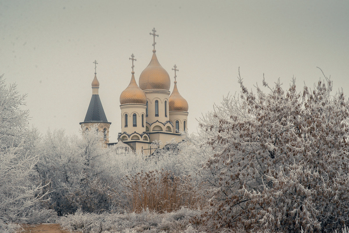 В серебре.. - Татьяна Шаламанова