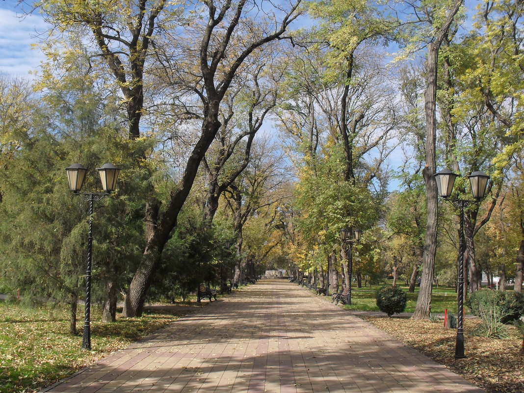 Осенний парк - Ольга Башарова