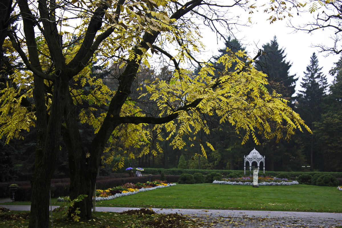 Осень. Ботанический сад. Минск - Gennadiy Karasev