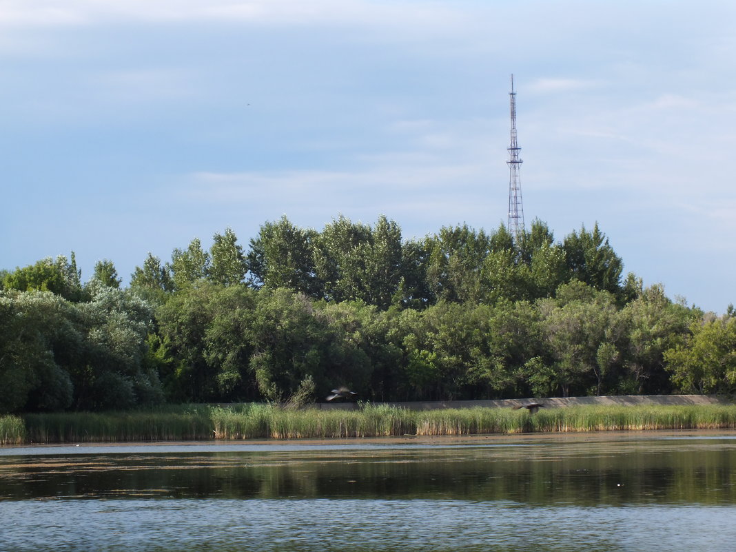 302. В парке - Александр 