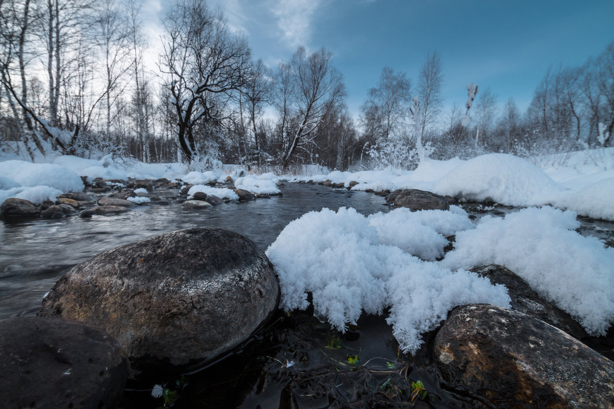 Река Вторая Кокша - край, где зимуют лебеди - Денис Соломахин
