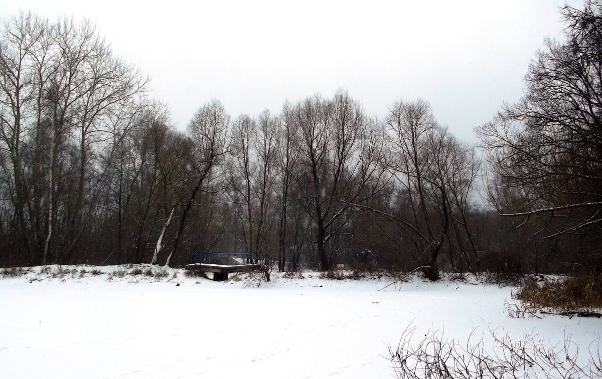 Вновь упакованны в снега пруды во парках - Алексей Соколов