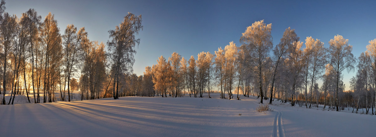 утро на зимней поляне - Николай Мальцев